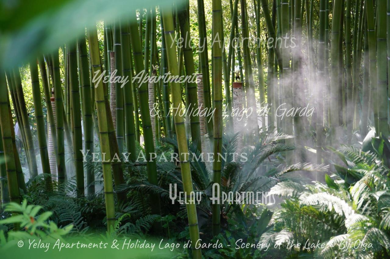 Yelay Apartments&Holiday Lago di Garda Raffa Exterior foto