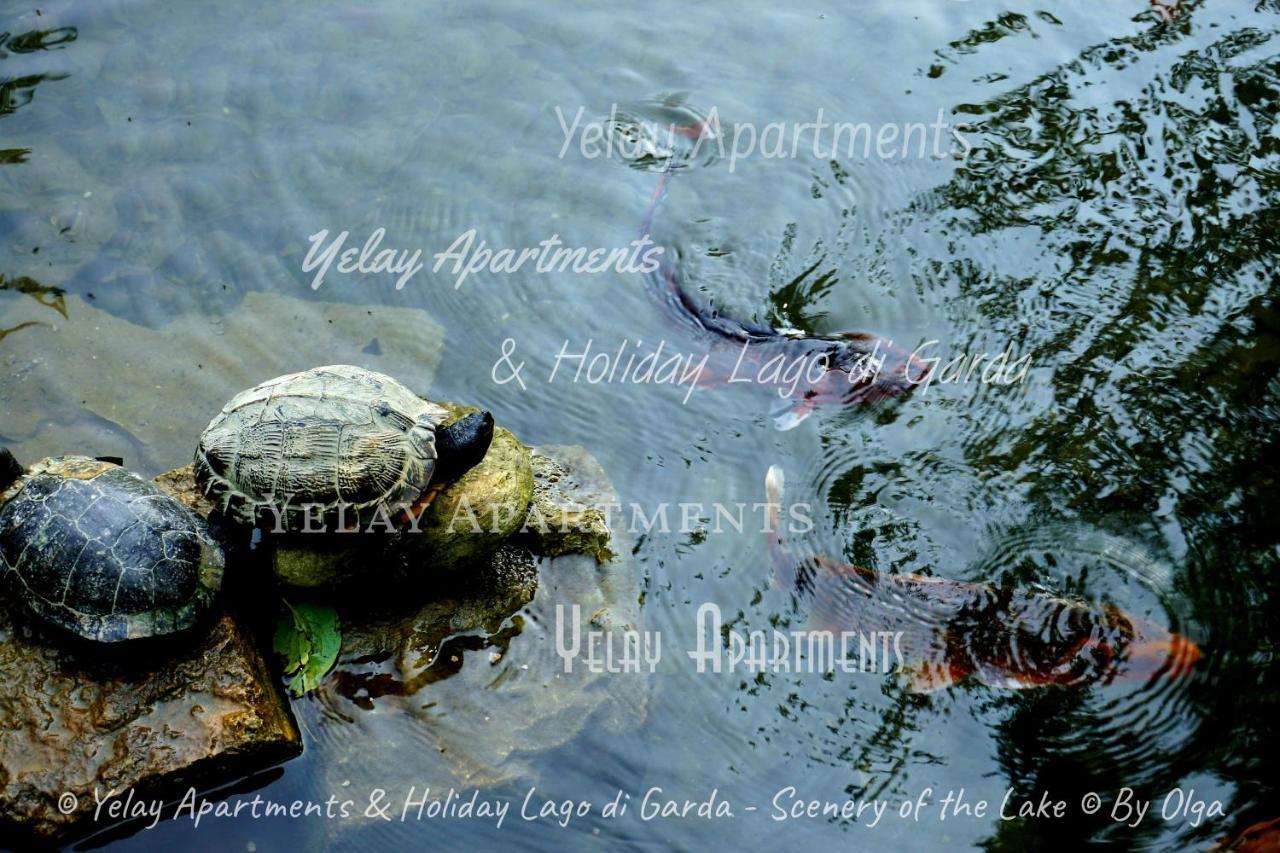 Yelay Apartments&Holiday Lago di Garda Raffa Exterior foto