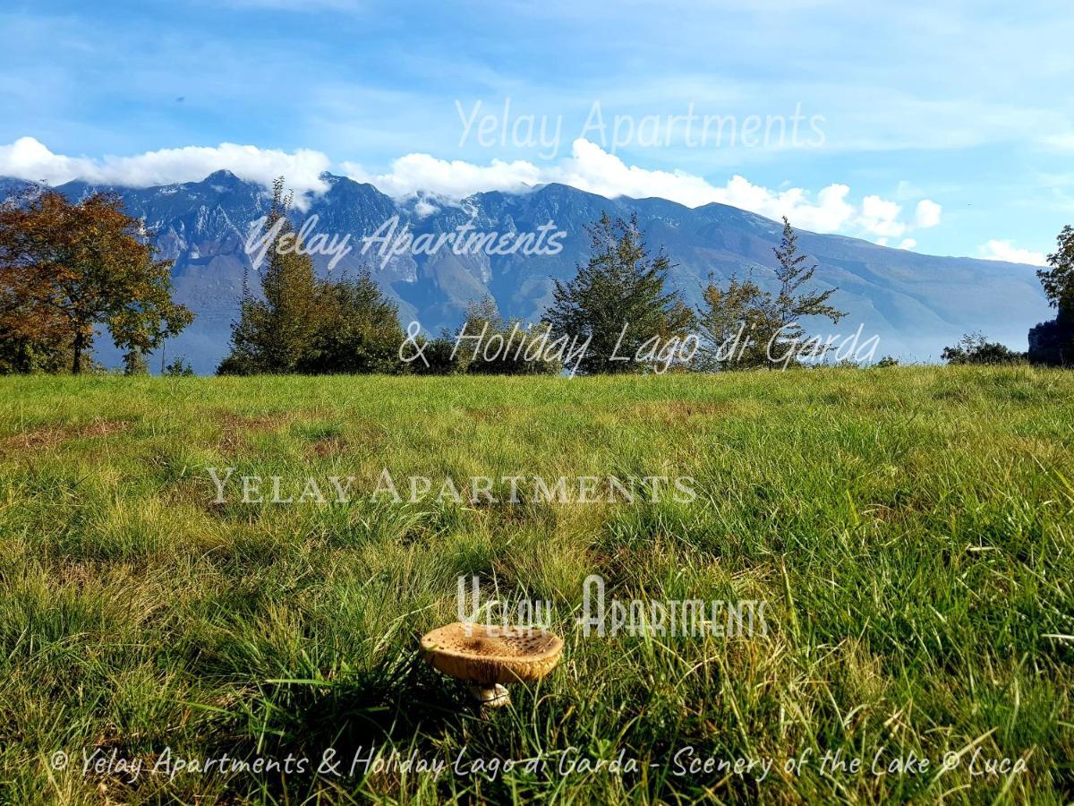 Yelay Apartments&Holiday Lago di Garda Raffa Exterior foto